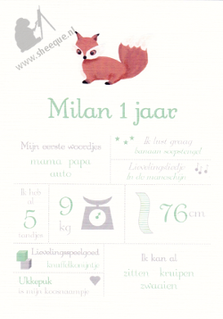 Mijlpalenposter